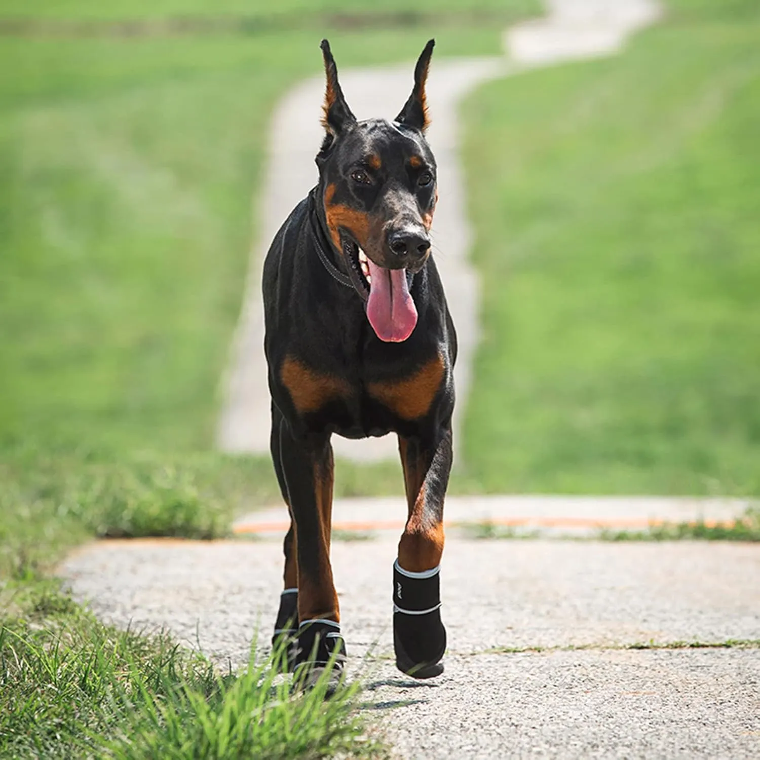 Avaner Dog Shoes Grip Socks 4 Pcs Anti-Slip Paw Protector with Adjustable Straps for Small Medium Dogs