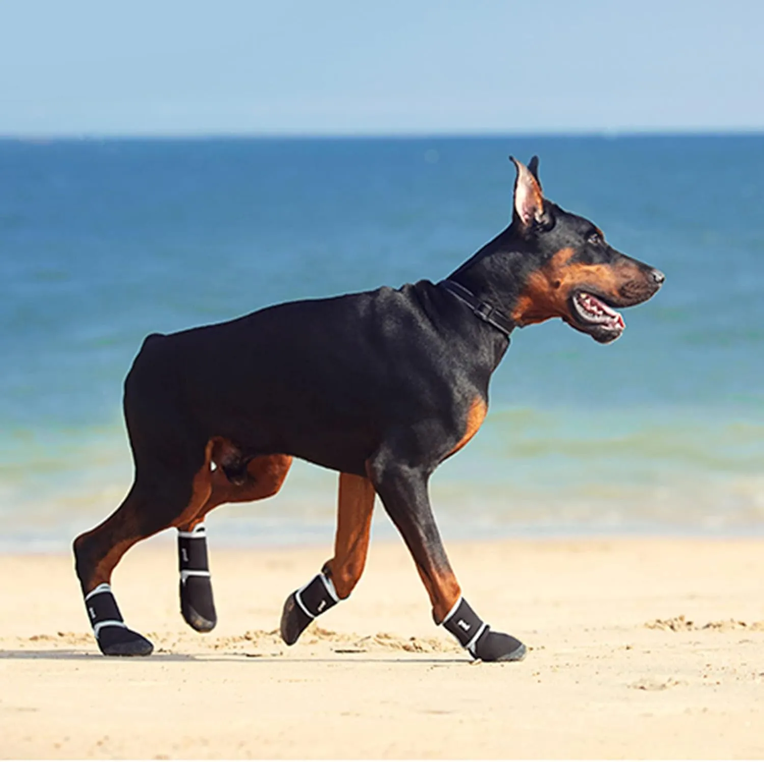 Avaner Dog Shoes Grip Socks 4 Pcs Anti-Slip Paw Protector with Adjustable Straps for Small Medium Dogs