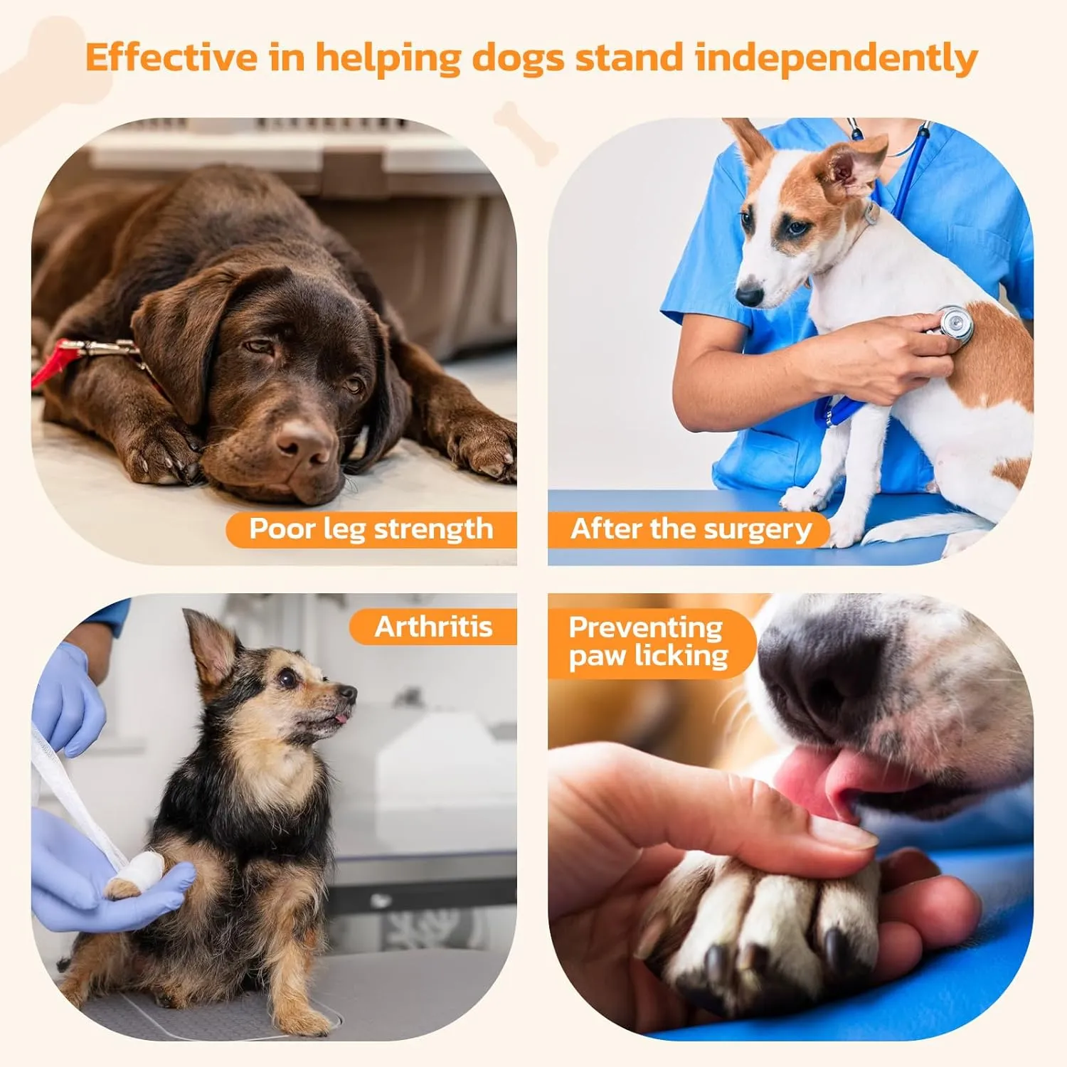 Non-Slip Paw Protector Pads for Senior Dogs, Anti-Slip Rubber Traction Stickers, Help Dogs Walk on Hardwood Floor, Pink, XXL for 61-80lbs, 48pcs